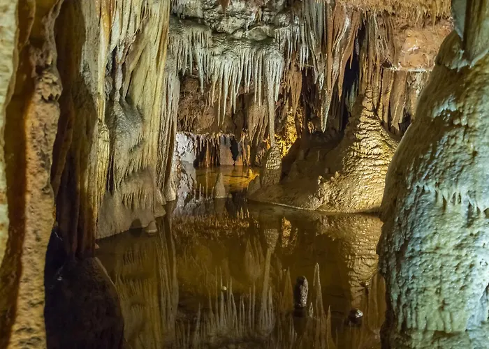 דירה In - Istrien 10331 *