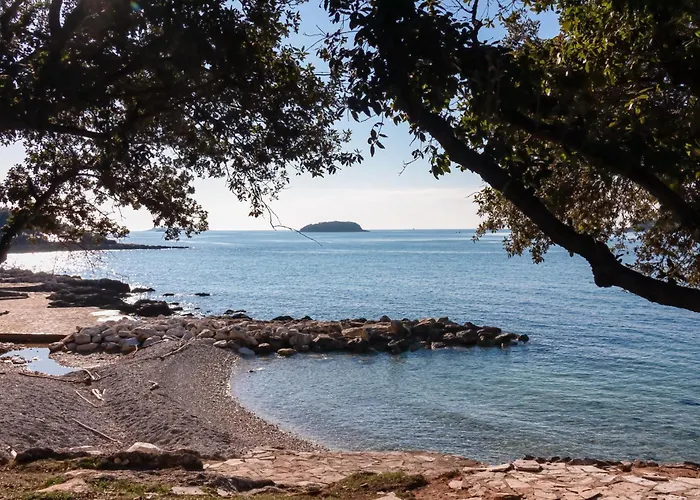 In - Istrien 10331 Lejlighed Poreč