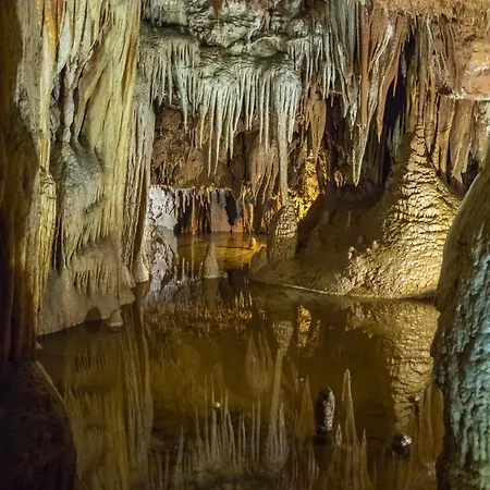 Apartman In - Istrien 10331 *